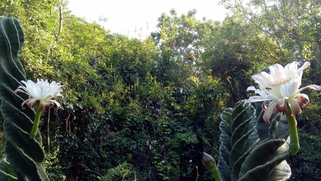 Posada Camboata Aristobulo del Valle Luaran gambar